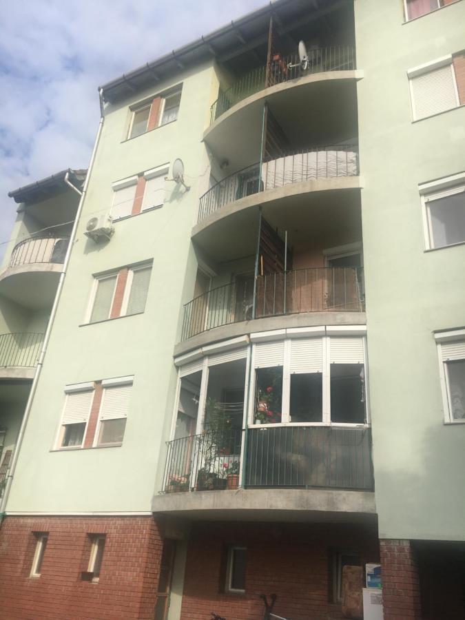Pu-ma Szeged